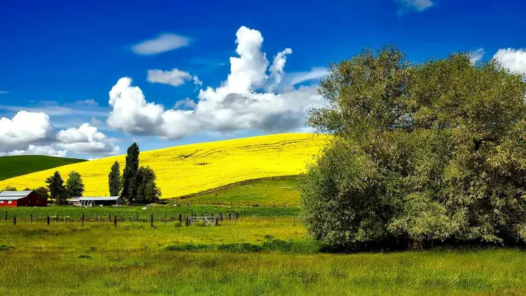 Residential property of the kind where long-standing occupation of a boundary strip can ripen into an adverse possession claim outside the recording system
